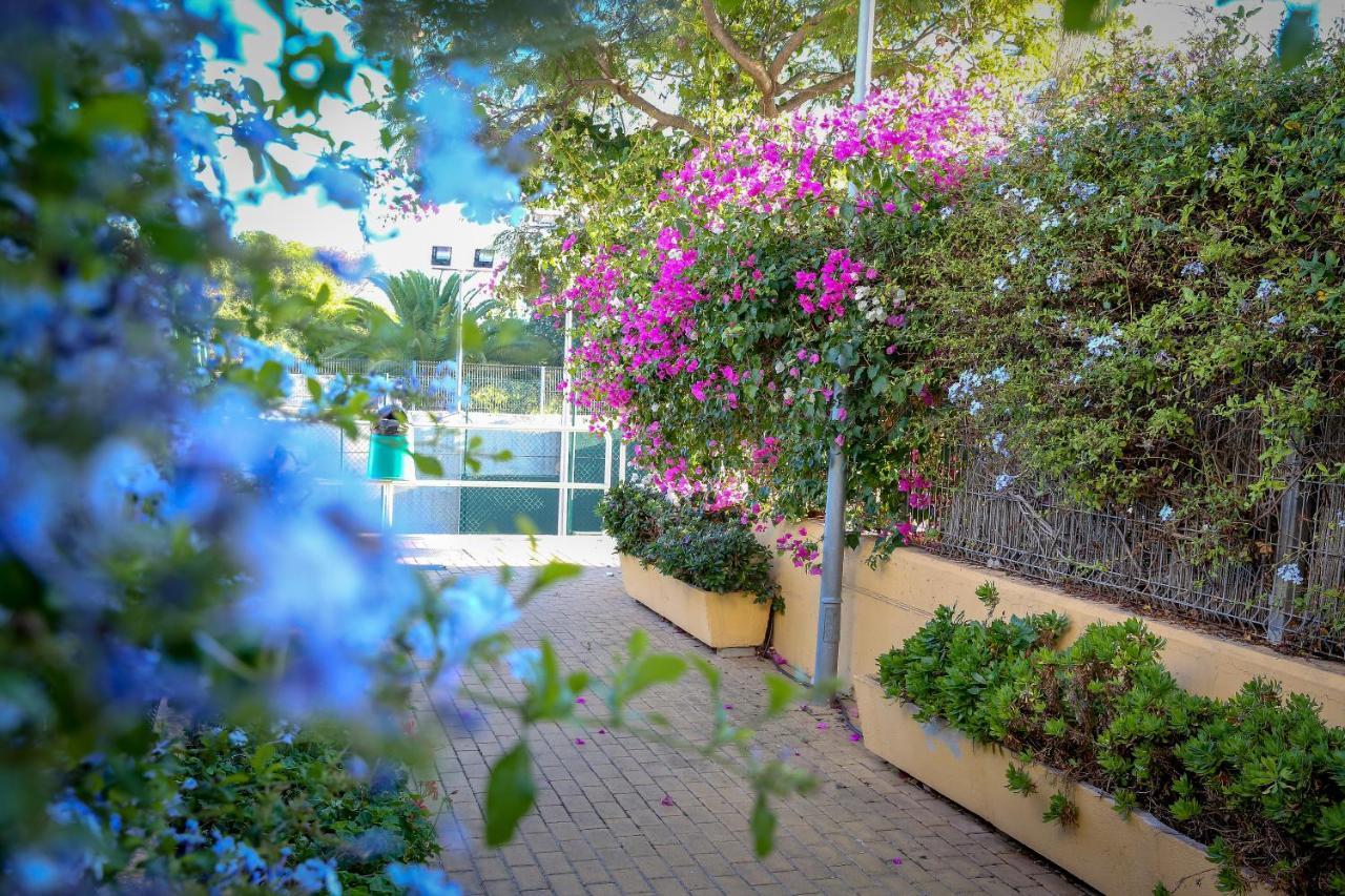 Montesol Home - Parking Gratis Ayamonte Extérieur photo